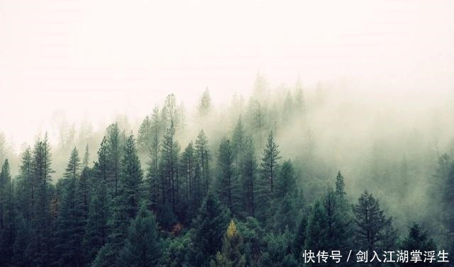 胡尘|八首诗词,八种眼泪哪一种,是你曾经的心情