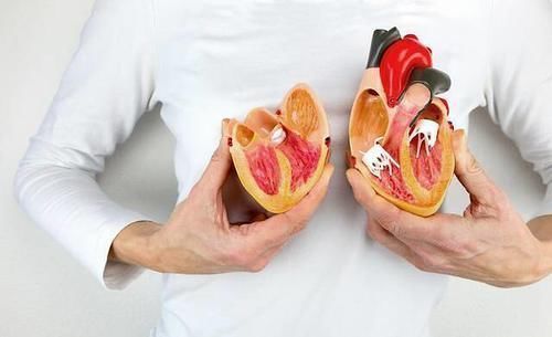 早餐|早上是养肝的“好时机”，这3种食物“别吝啬”，肝会感谢你