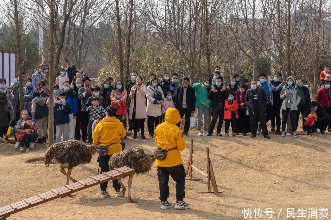 错峰游！快来园博园寻觅春的气息，感受休闲园博