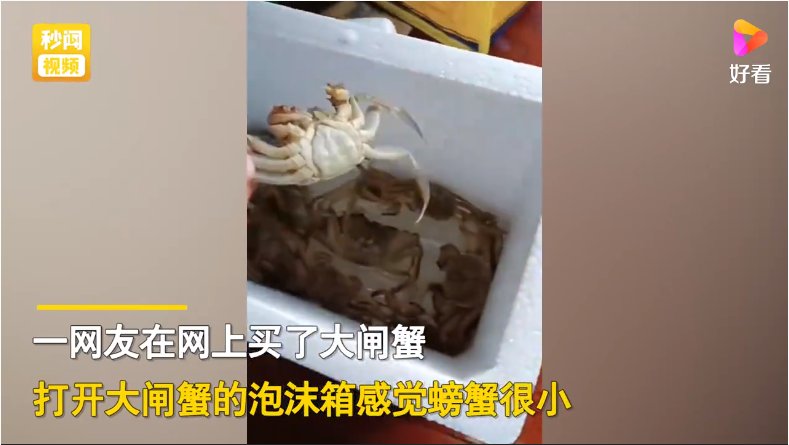 大闸蟹|男子花68元网购20只大闸蟹，打开快递瞬间懵了