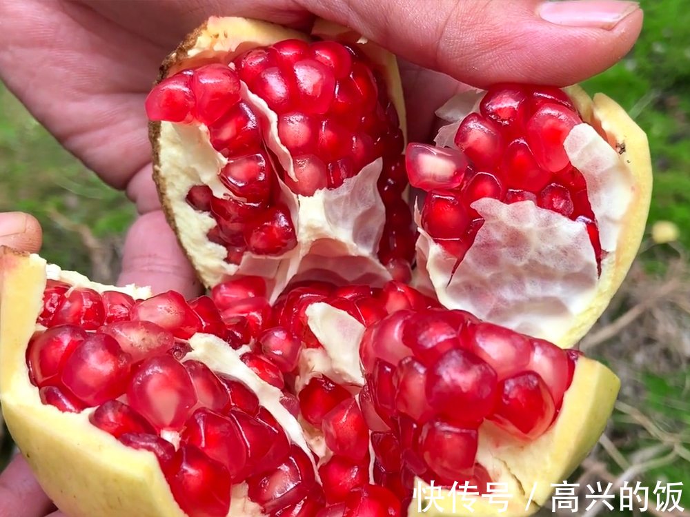 太阳光|买石榴，选红的还是选黄的？老果农：看准“3处”，到手鲜甜多汁