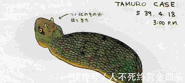 野槌蛇|日本历史上的迷之生物“野槌蛇”, 被悬赏两亿日元的超萌怪蛇！