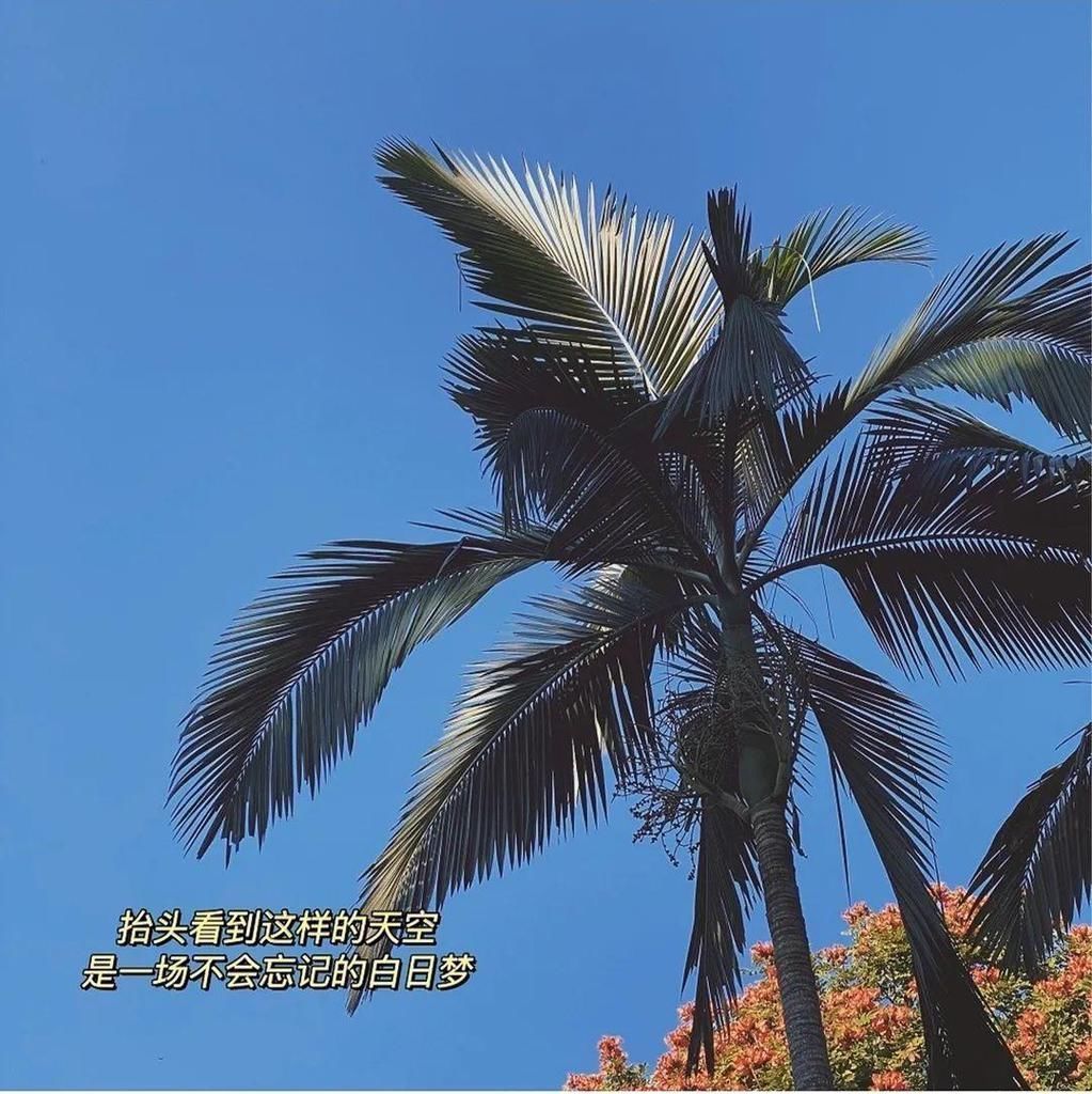 历史|现实版老友记,有一群10多年的朋友是什么体验?