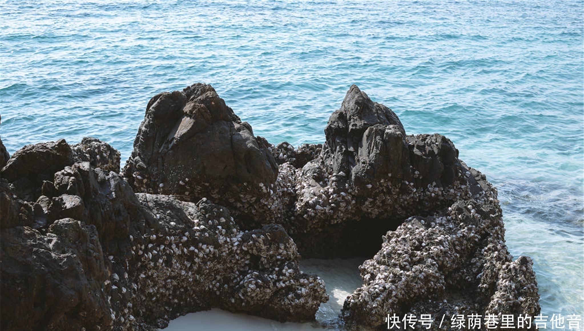 做鱼,也是在书写人生