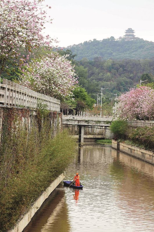 花重惠州城