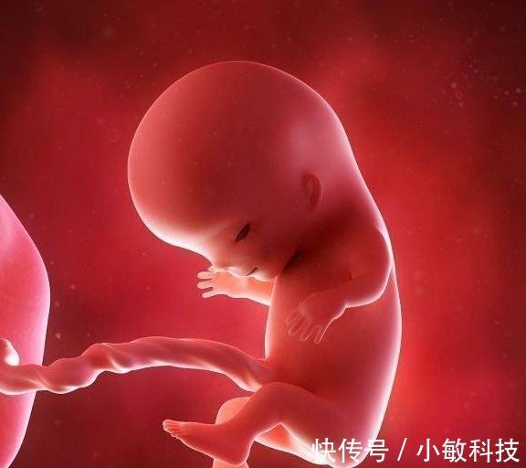 怀孕|怀孕后,孕妈若有这5种“表现”,恭喜,可能是个贴心“小棉袄”