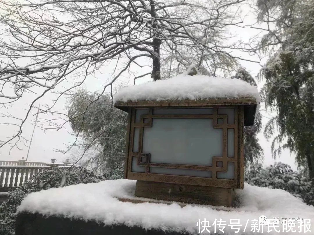 积雪|怕你不来，又怕你乱来，今天沪苏浙皖多少人在等一场雪