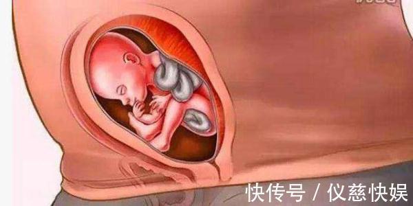 剧烈运动|怀胎十月到底是什么样的,十张图带你看孕育过程,生而为人须了解