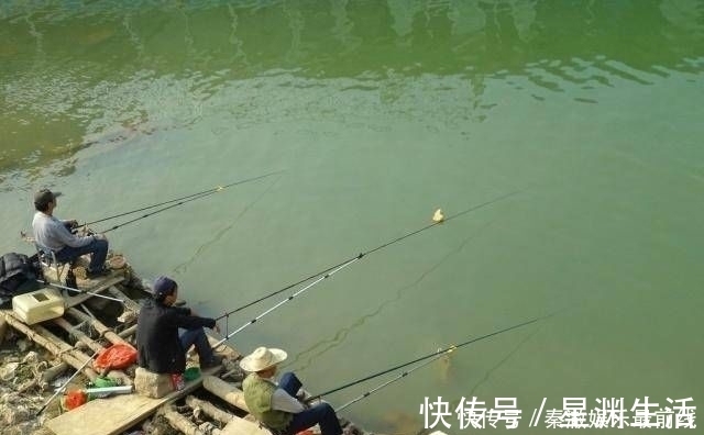如果你想钓鱼,不要依赖商业鱼饵,你必须依赖它们