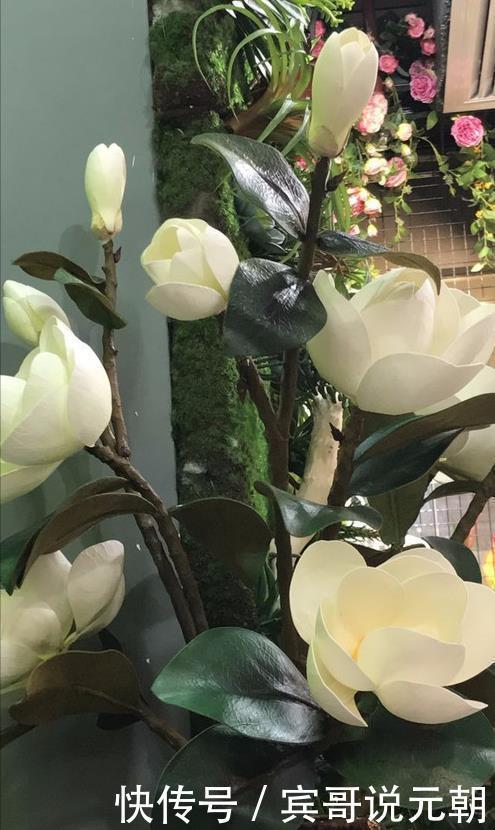 大色|4种自带“体香”的花,花大色艳香气足,阳台养一盆,人人闻香气