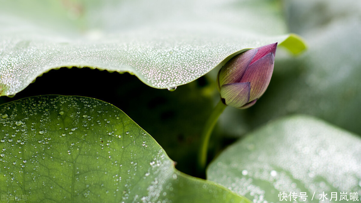 最深处|年华苍翠,时光如许,在红尘最深处,写一个关于风花雪月的故事