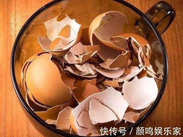 治好|被你傻乎乎丢掉的鸡蛋壳，轻松治好4种病，帮你省下一大笔买药钱