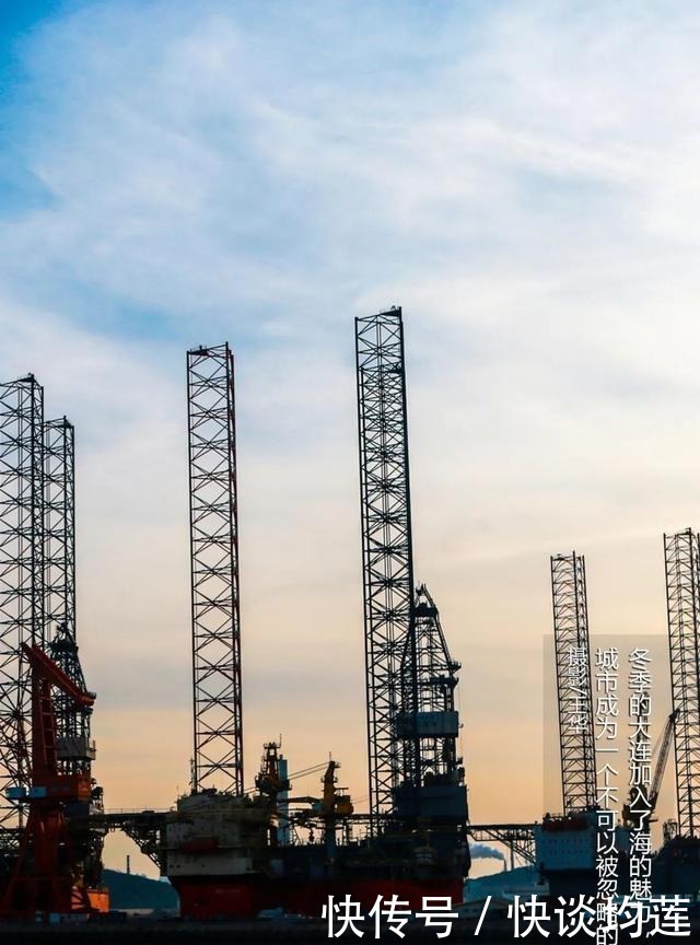 大连|大雪,大连,大生机