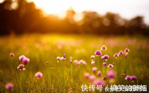 招财纳福|谁家女人属此生肖,是家里的“财神爷”,为家里人招财纳福