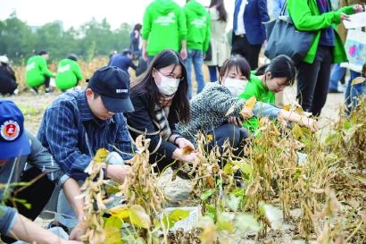 辟出|用100亩地为大一新生开设必修“种田课”，上海建桥学院辟出劳动基地，让劳动教育扎实落地