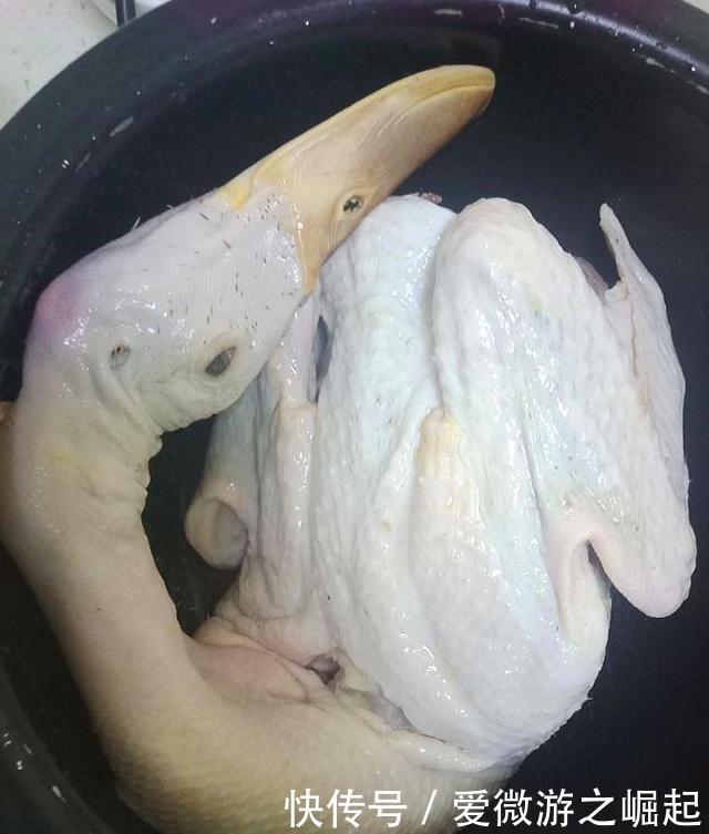 女人多吃它，滋阴润燥，增强免疫力，吃出好身体！