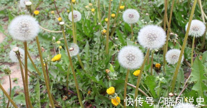 肝治|百病从肝治!灸5穴吃3宝,养肝、疏肝、护肝,肝“净”百病消!