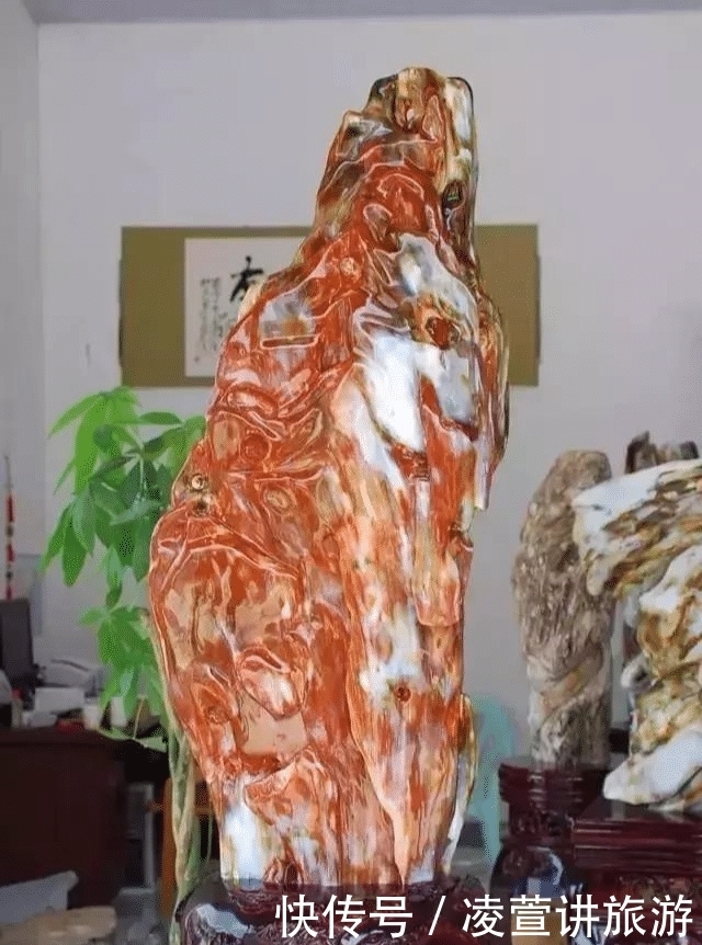 树化玉|亿万年前的宝贝,形似冰种翡翠,估值数百亿