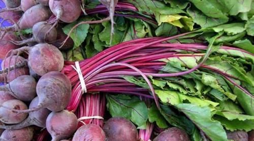 女人怕变老,建议吃的好食物,养颜排毒,活血消肿,吃了身体好