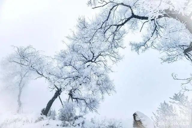 童话|冰天雪地，童话吉林