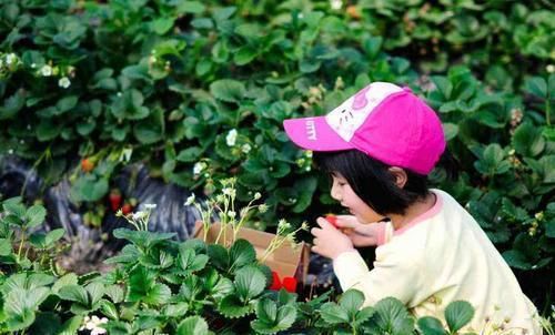 3种水果“暗藏”大量寄生虫，医生建议：孩子再馋也别多吃