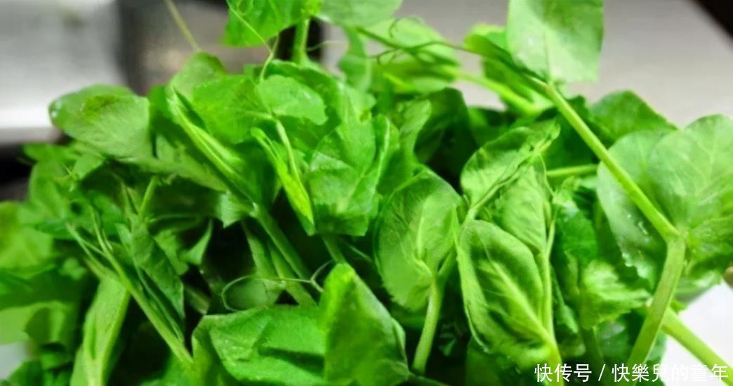 陈医师|人到中年想长寿,推荐多吃三种食物,补充营养,身体棒棒哒!