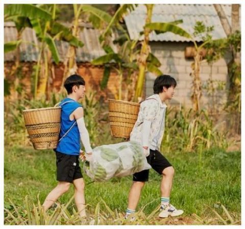 節目|本來想看王冰冰的，沒想到被節目吸了粉