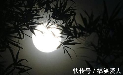 今安$李白最经典的一首诗,开篇就惊艳了世人,堪称唐诗巅峰之作