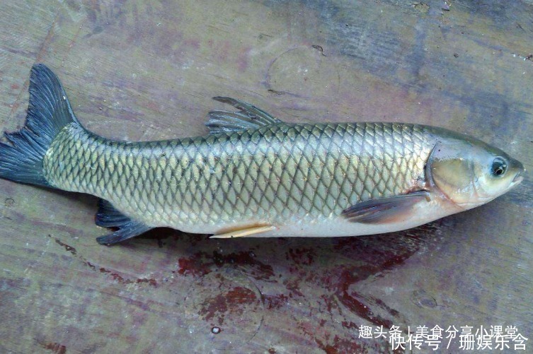 爱吃鱼的有福了，学会此方法鱼肉鲜嫩还入味，一上桌就被抢光，香