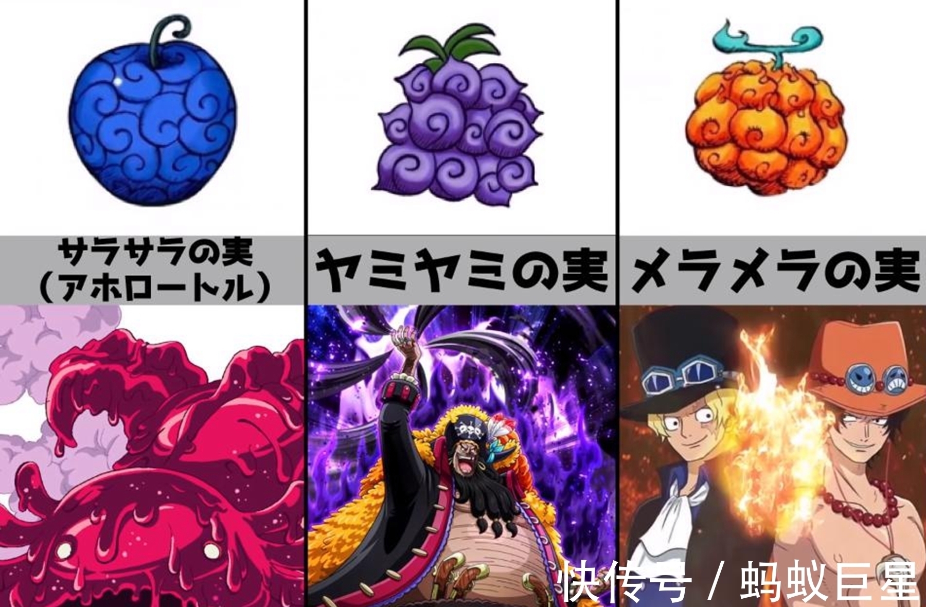 蝙蝠|恶魔之树最顶端的三颗果实是什么?恶魔果实的分类有什么?