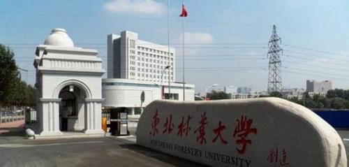 东北林业大学怎么样？