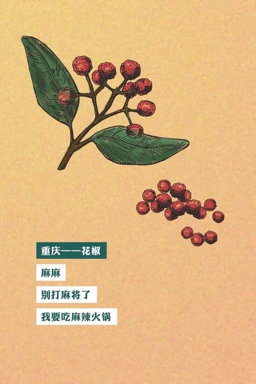 进来猜猜！不同地区年夜饭上的“常青树”