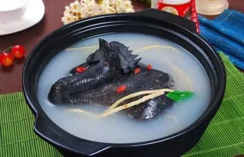 大枣|女生补血最佳食物,没有你常吃的大枣