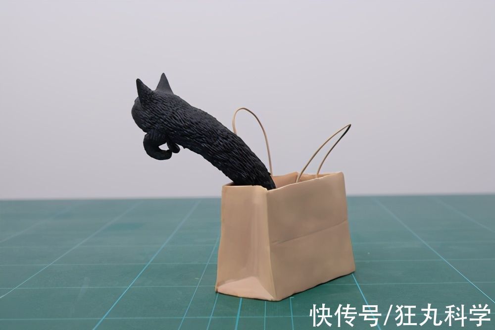 长颈狗|全球的猫都想屏蔽这个日本人,他到底做了多少沙雕手办?