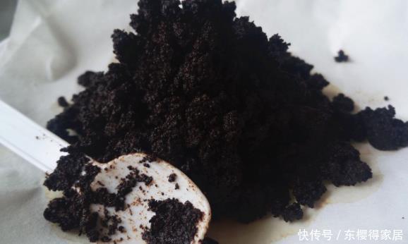 没有养花的容器、肥料?将它们“废物利用”省钱,植物长势更好