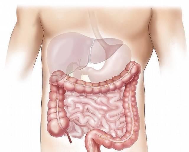稳定血糖|血糖高的“救星”来了, 用这些食物喝水泡, 稳定血糖不上升