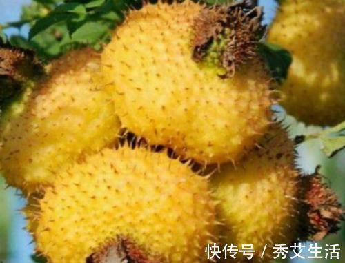 美容|人到中年想长寿,不妨多吃以下4种食物,补钙又补锌、美容又养颜