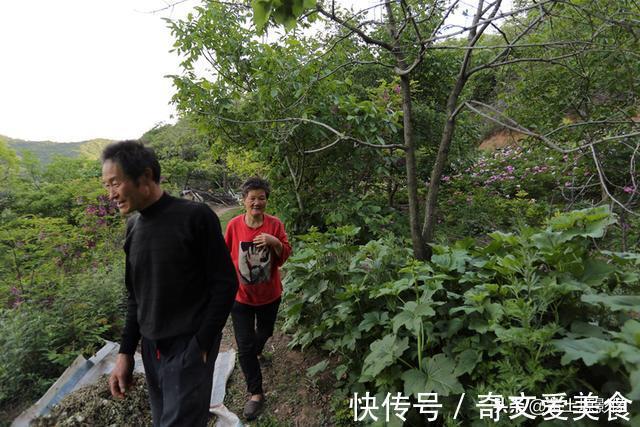 土蜂蜜|夫妻俩隐居深山，养7条猛犬当保镖，每年还是有牛羊被野兽吃掉