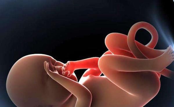 预产期过了4周，孕妇才去医院剖腹产，医生剖开后差点被熏晕