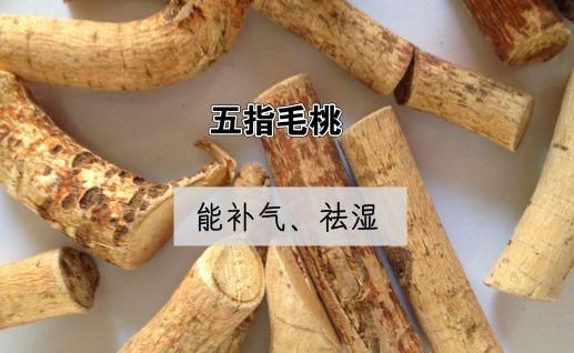黄芪|【健康】它是“广东人参”，用它煲汤祛湿解暑，老少皆宜