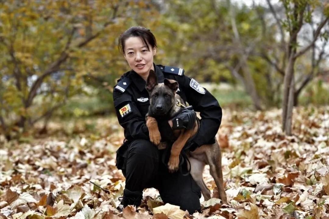 传真|【一线传真】警花与警犬，爱上就别无选择！