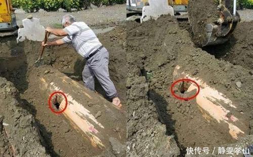 历史上最“傻”的盗墓贼,盗了个大墓,一件真品没拿走