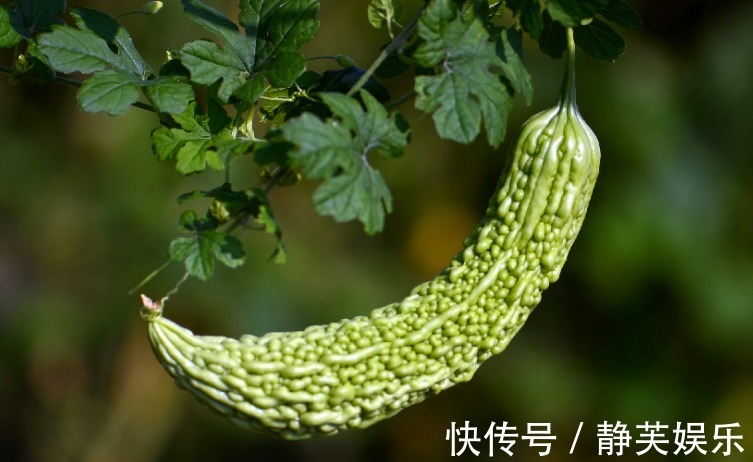 苦瓜苦瓜|脸上有斑不要慌,常吃三种食物,美容养颜,淡化色斑,排毒瘦身