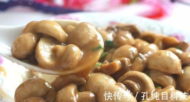 杏鲍菇|厨房新手轻松掌握的20道快手菜,做法简单,快捷省事,学起来吧