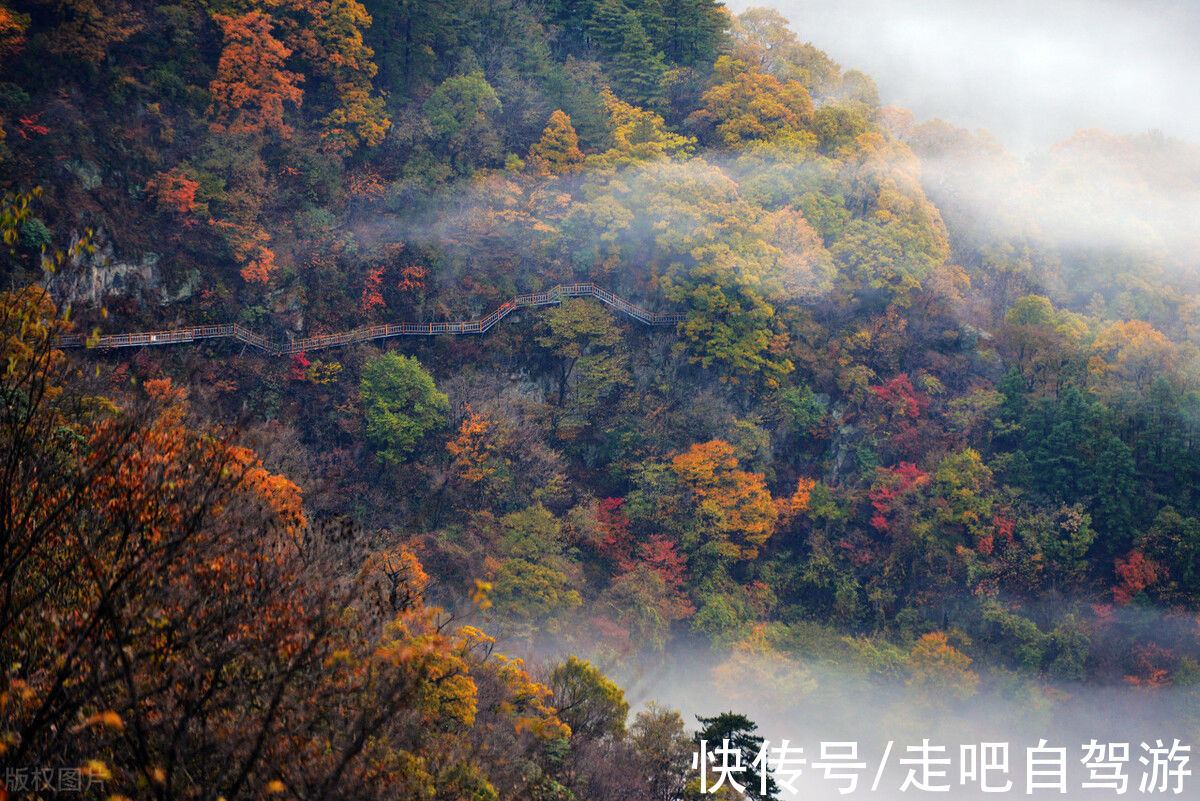 徽州|安徽又又又又又红了