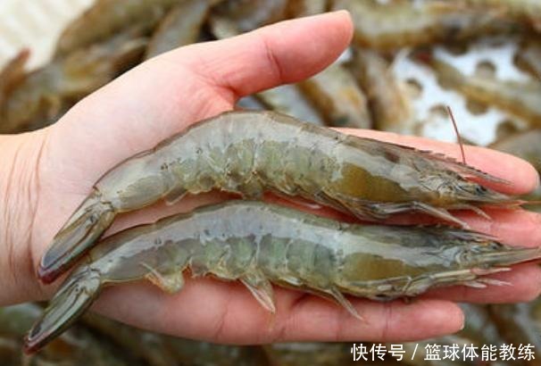 才知道,大虾这么煮才好吃!原来以前都错了,难怪腥味大肉不嫩