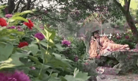 湘云醉卧|6版《红楼梦》“湘云醉卧”,看看谁是人面桃花,谁像醉鬼睡大街