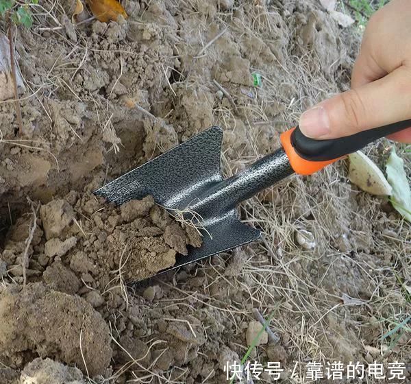 你还在花钱买土吗，不用花钱就能制作出高质量花土，要不要学习