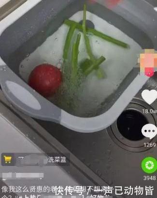 抖音电商|抖音赚钱方法流程,教你做个能赚钱的抖音号