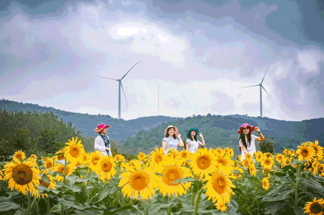 代金券|宫崎骏动漫“同款”!快来滁州这里打卡!